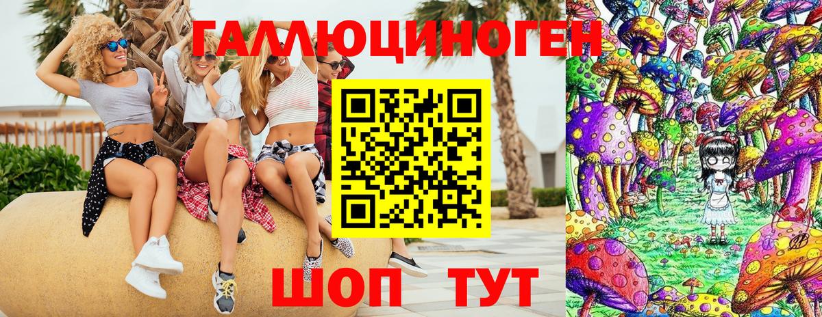Псилоцибиновые грибы Cubensis  Галлюциногенные грибы Cubensis  Вход с VPN  Дербент 